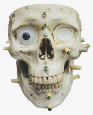 Download - Skull