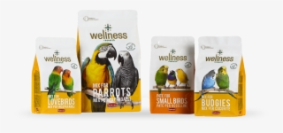 All Products - Parrot