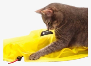 Amazingly Cat - Cat's Meow: Fun, Revolving Cat Toy (motorised)