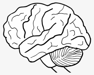 Brain Clip Art Black And White - Brain