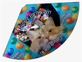 Here To Pawty Birthday Hat - Hat