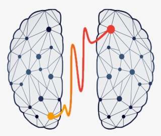 Brain - Circle