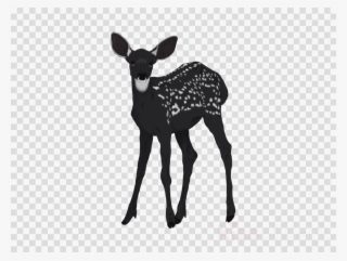 Wildlife Clipart Reindeer Antler Antelope - Female Symbol Transparent Background