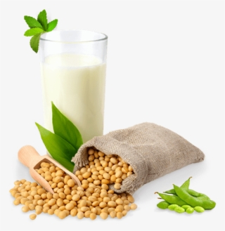 Soy Milk Png