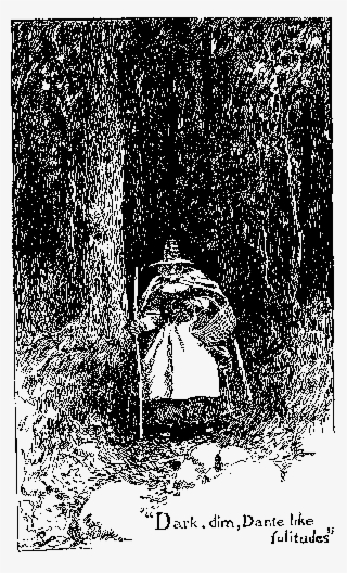 "dark, Dim, Dante-like Solitudes"