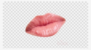Download Lips Transparent Png Clipart Lip Clip Art - Clip Art