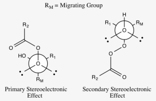 Baeyer-villiger Oxidation Stereoelectronic Effects - Baeyer–villiger Oxidation