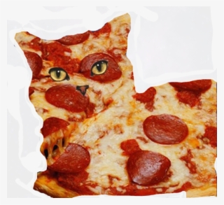 00 - - Cat On Pizza Png