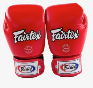 Fairtex Bgv8 Boxing Gloves - Boxing Gloves 6 Oz