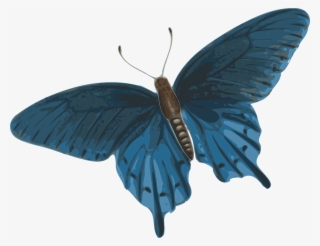 Butterfly Blue Beautiful Fly Png Image - Butterfly Flying Gif Png