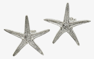 Sea Star Large Stud Earrings - Earring