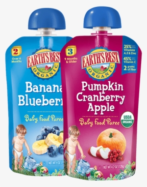 Best Baby Food