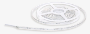 Side Strip - Circle