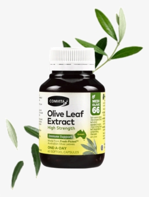 Shop Olive Leaf Extract High Strength Capsules 60s - Comvita Olive Leaf Extract 60 Capsules