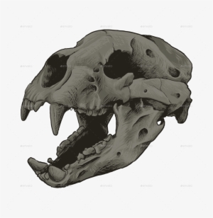 Bear Skull Bear Skull - Giant Short Faced Bear Skull