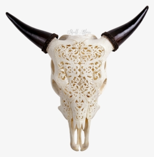 Choose From Over 75 Different Carved Animal Skull Designs - Cattle