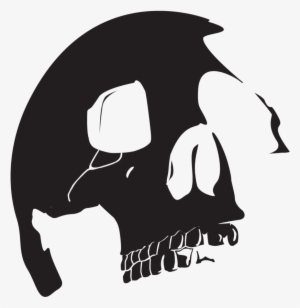 Vector Skull 2 By Envisium On Clipart Library - Cool Skull Vector Png