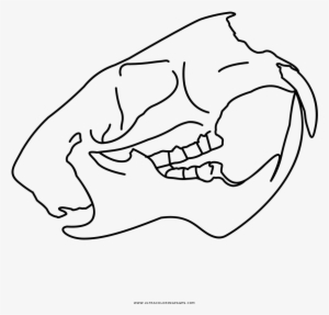 Animal Skull Coloring Page - Line Art