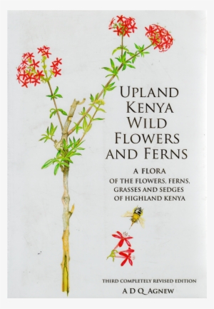 Upland Kenya Wild Flowers And Ferns - Upland