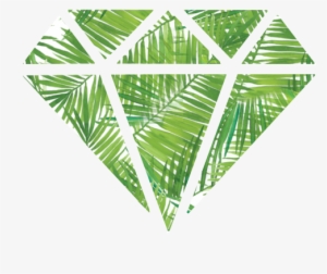 Diamond, Dimond, Ferns, Hipster, Tumblr - Palm Tree Diamond