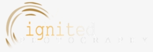 Color Medium Logo On Transparent