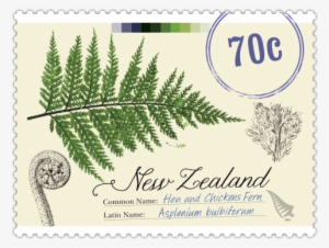 Product Listing For New Zealand Native Ferns - Georgetown