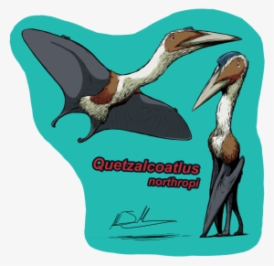 cyrus mccallum quetzalcoatlus northropi dinosaurios - quetzalcoatlus