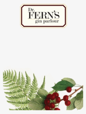 Fern's Is A Cool Speakeasy Gin Parlour Showcasing Premium - Fern