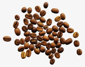 Coffee Beans Png - Coffee Vs Tea Infographic