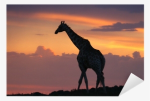 Giraffe Silhouette Walking On The Horizon At Sunset - Giraffe
