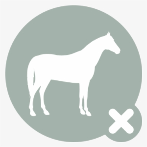 Horse Icon X - Check Hook