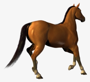 Best Free Horse Png Image - Download An Image Without Background