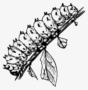 This Free Icons Png Design Of Caterpillar 3