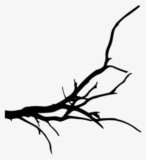 Fall Tree Branch Png - Transparent Background Tree Branches