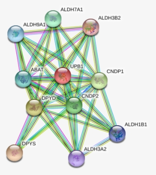 Network - Circle