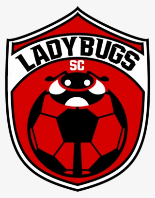 Ladybugs Soccer Crest - Wild Republic Soccer Sport Pillow, Black