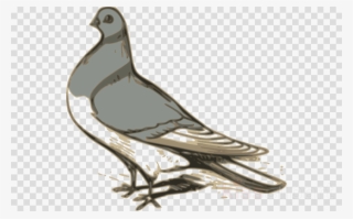 Custom Pigeon Sticker Clipart Pigeons And Doves Homing - Custom Pigeon Throw Blanket