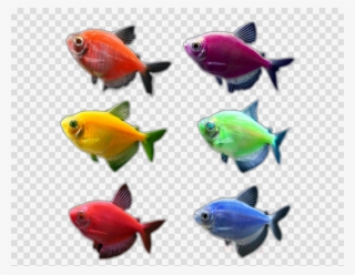 Aquarium Clipart Goldfish Aquarium Glofish - Glofish Clipart