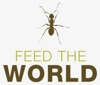 Insects To Feed The Worldhttp - Change Start From You