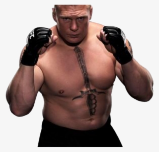 Brock Lesnar Mma Gloves