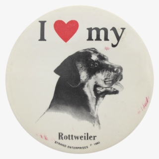 I Heart My Rottweiler