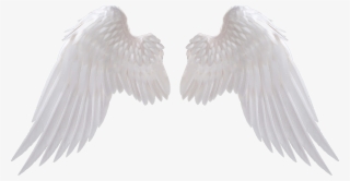 With Wings Md Roblox Angel Wings Clipart Transparent Png 420x420 Free Download On Nicepng - guardian angel roblox id