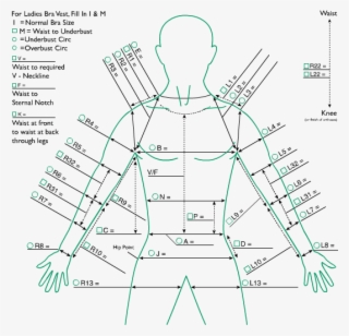 Ct Leotard 2 Arms - Diagram