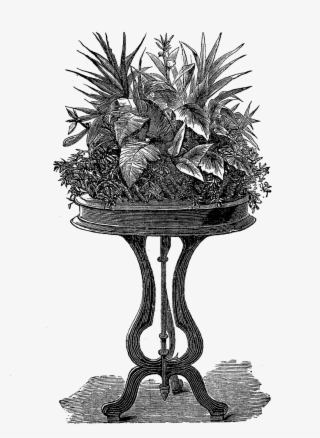Free Potted Plants Png - Victorian Plant
