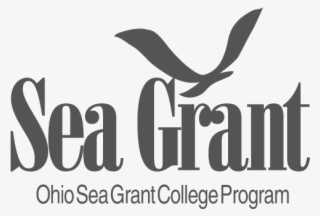 Unique Internships Are Available At Osu's Stone Laboratory - Sea Grant Puerto Rico Logo