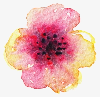 Creative Hand Painted Petal Decoration Vector - California Wild Rose