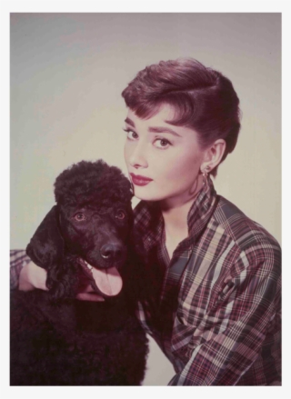 “永遠の妖精”と呼ばれた名女優を写真で、 小さな写真展「audrey Hepburn」 - Audrey Hepburn Poodle