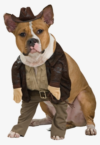 Funny Dogs Png Graphic Freeuse Stock - Dog Costume With Hands