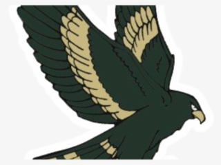 greenfield hawks - greenfield hawks logo