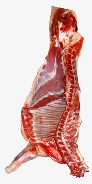 File - Schafhälfte - Red Meat